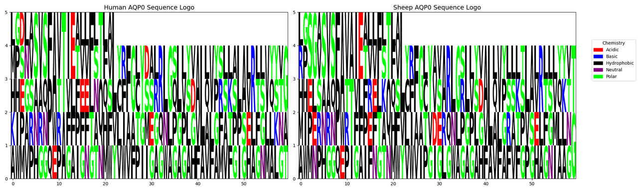 AQP0 targeting strategy