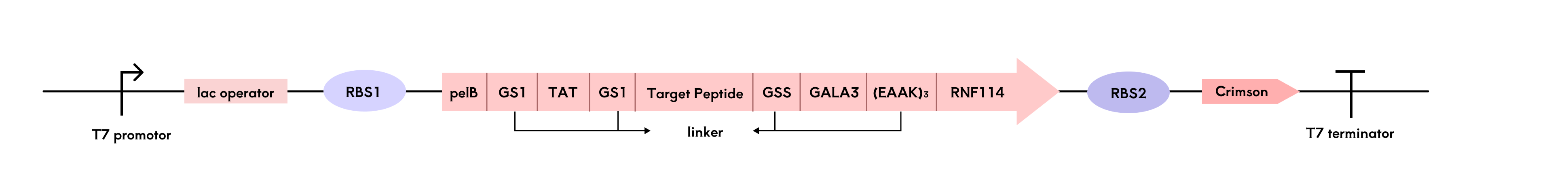 Linker selection