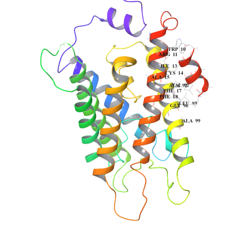 AlphaFold2 structure prediction