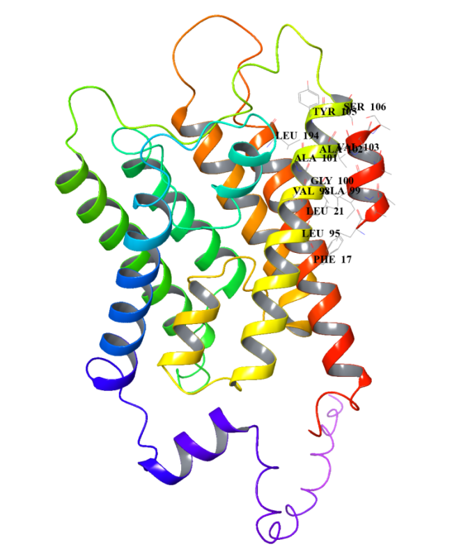 AlphaFold2 structure prediction