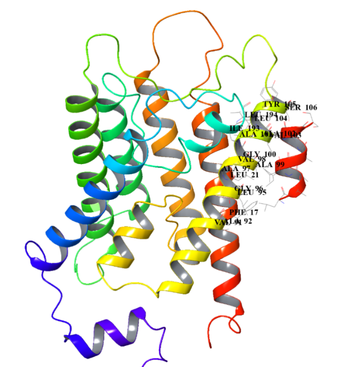 AlphaFold2 structure prediction