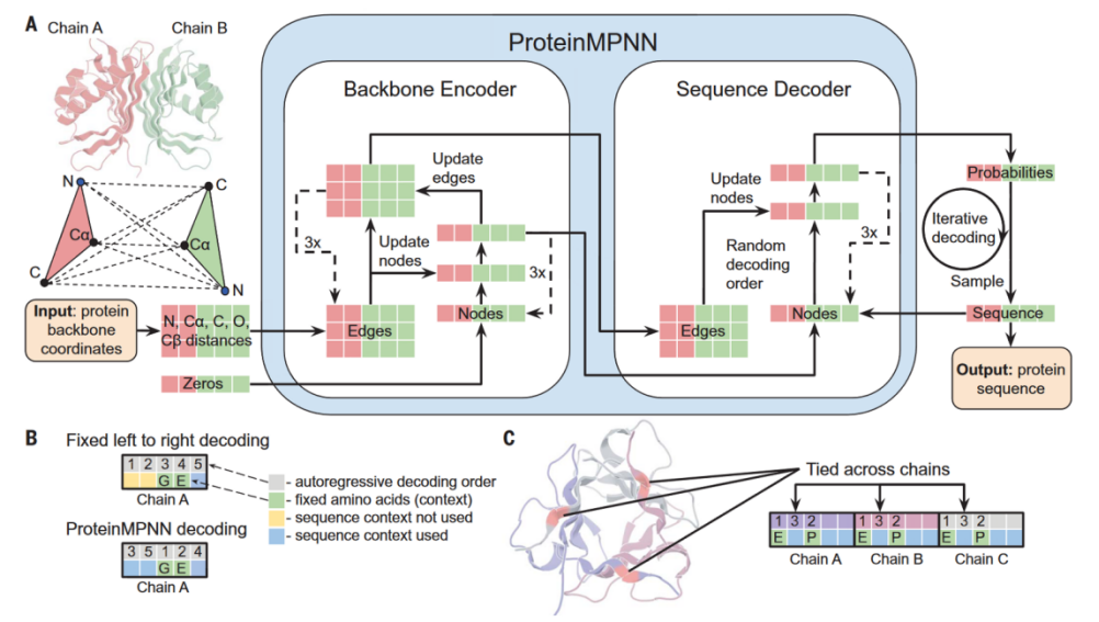 ProteinMPNN workflow