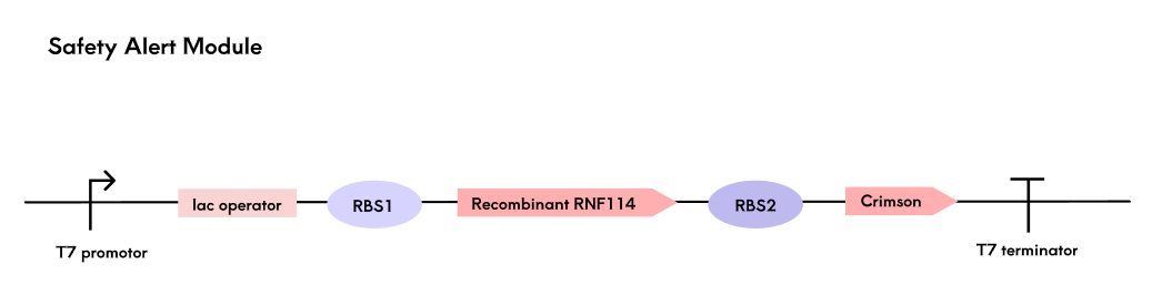 Safety alert module gene pathway map