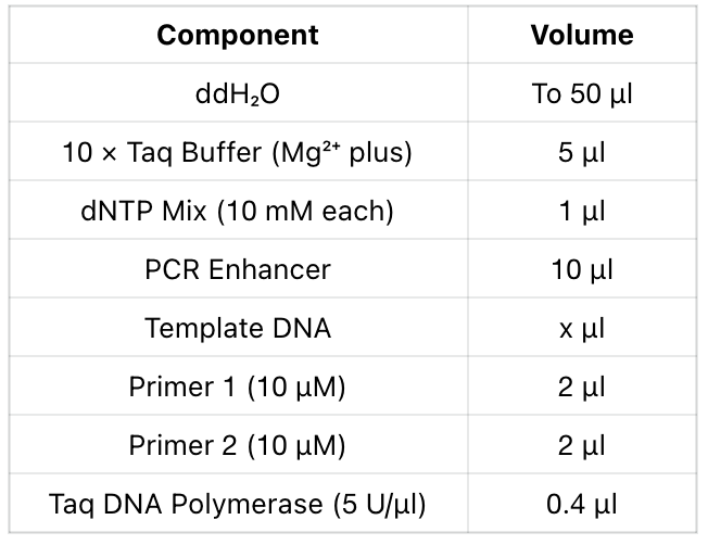 Colony PCR