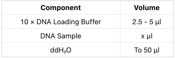 DNA Gel Electrophoresis