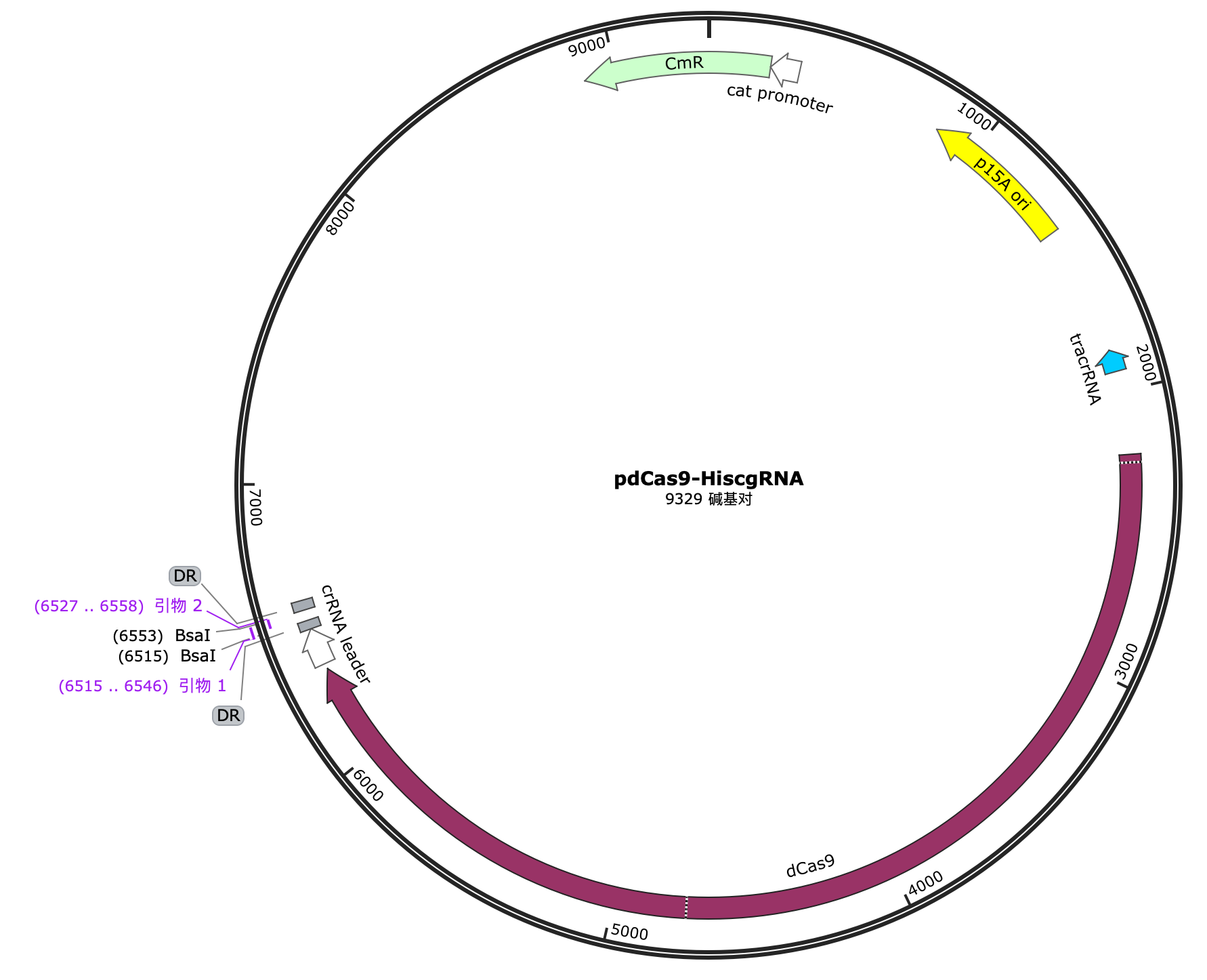 pdCas9-hisAgRNA